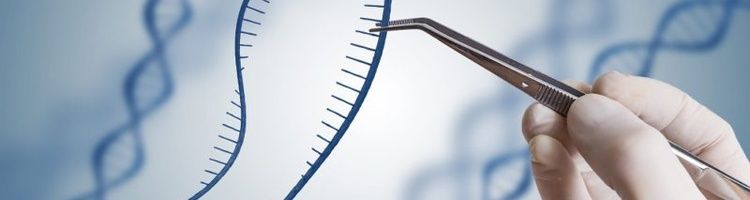 Гормон роста