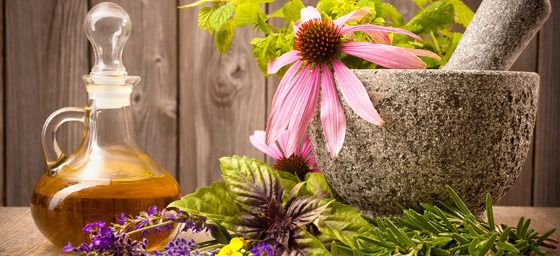 Фитотерапия