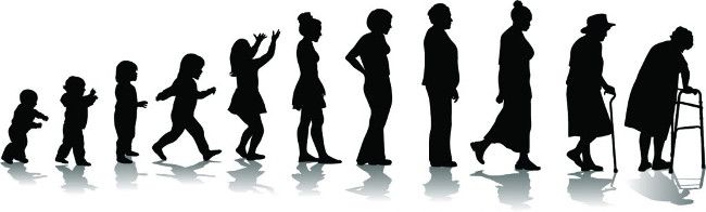 Гормон роста предотвращает биологическое старение