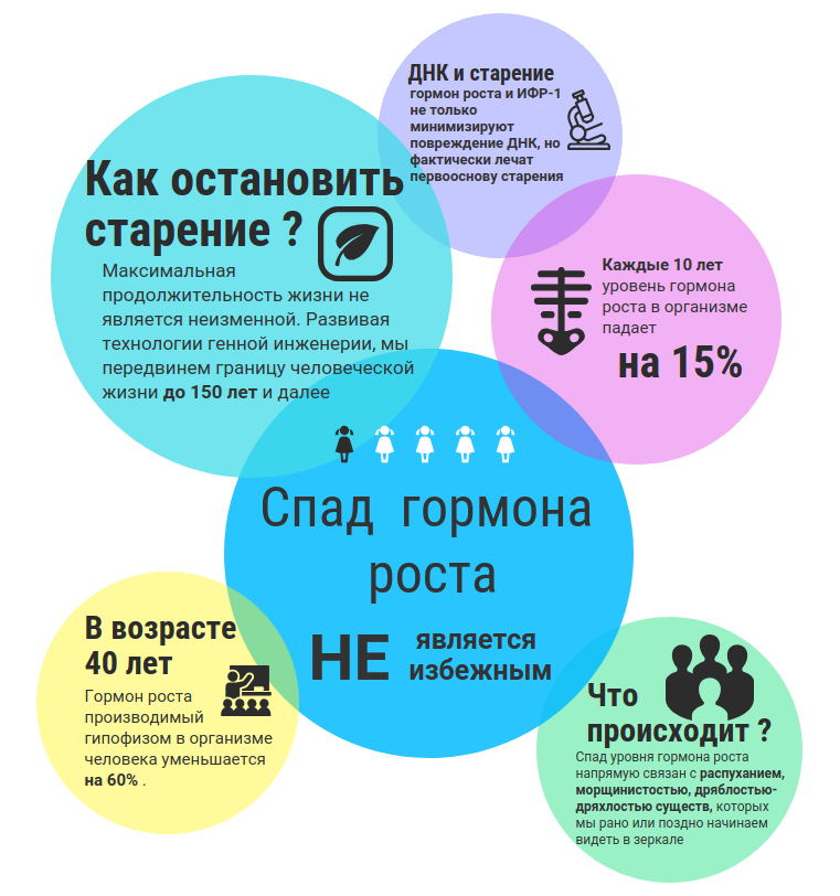Инфографика гормон роста и омоложение