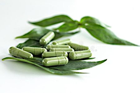 Траволечение общих заболеваний организма