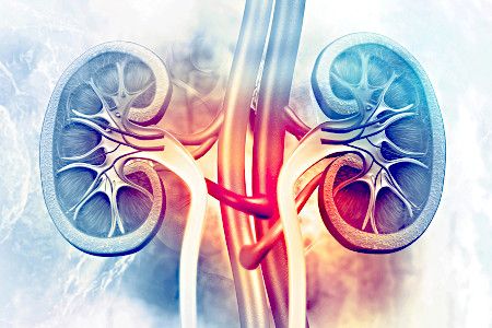 Заболевания мочеполовой системы