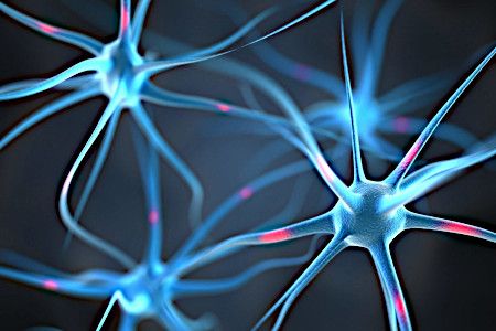 Заболевания нервной системы