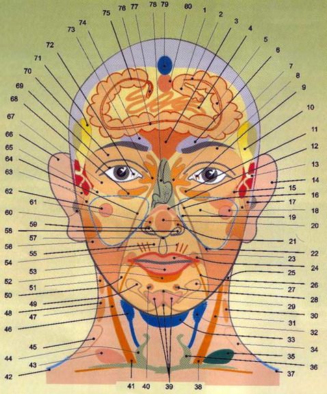 Диагностика здоровья по лицу и шее