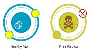 Свободные радикалы